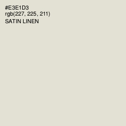#E3E1D3 - Satin Linen Color Image